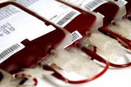 Как группа крови влияет на предрасположенность к различным болезням?